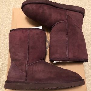 💥UGG💥classic short eggplant color boot - size 8